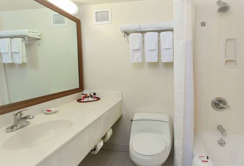 בית מלון כפרי Ramada Plaza By Wyndham Waikiki