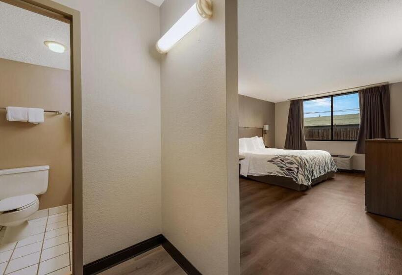 فندق Red Roof Inn Painted Post