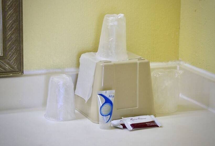 فندق Rodeway Inn