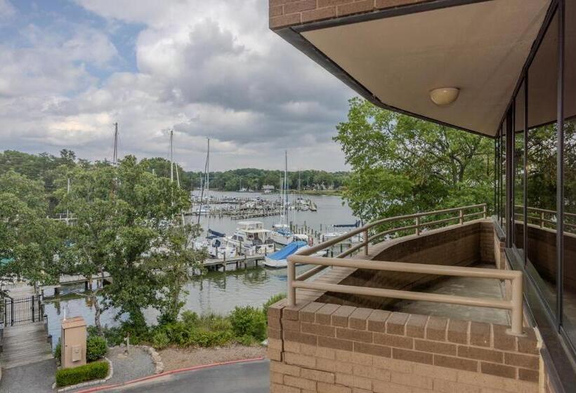 فندق Solomons Inn Resort & Marina