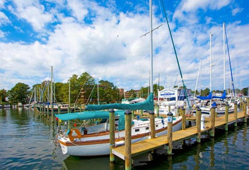 ホテル Solomons Inn Resort & Marina