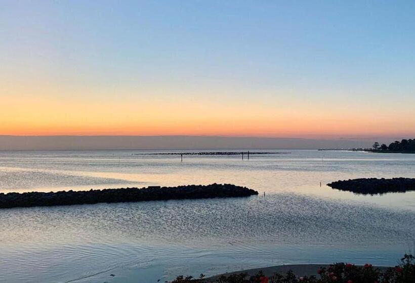 ホテル Solomons Inn Resort & Marina