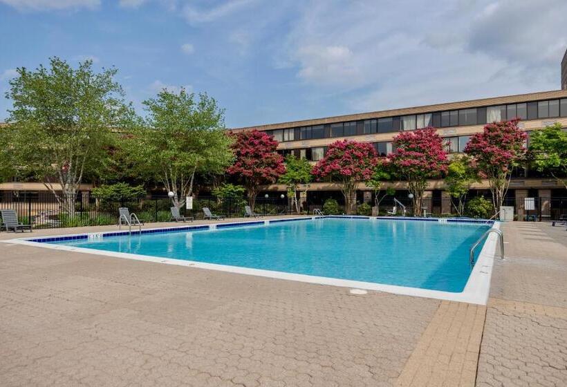 ホテル Solomons Inn Resort & Marina