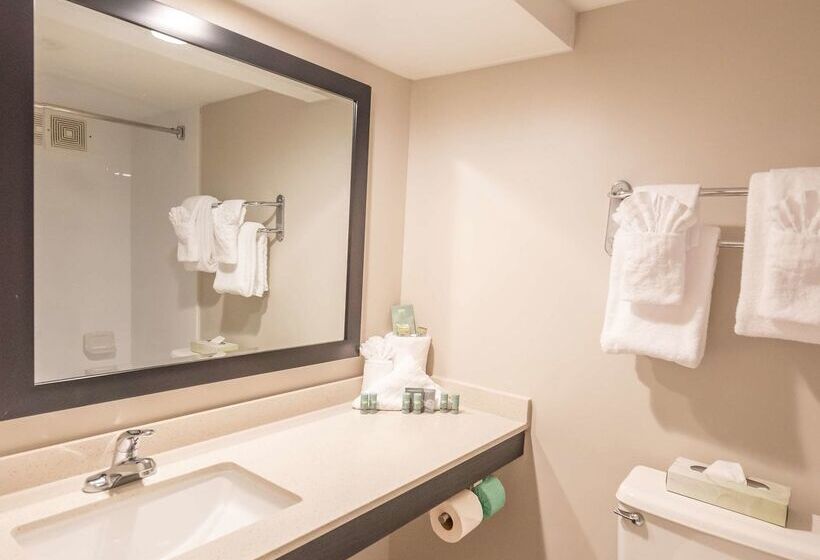 Surestay Plus Hotel By Best Western Lehigh Valley