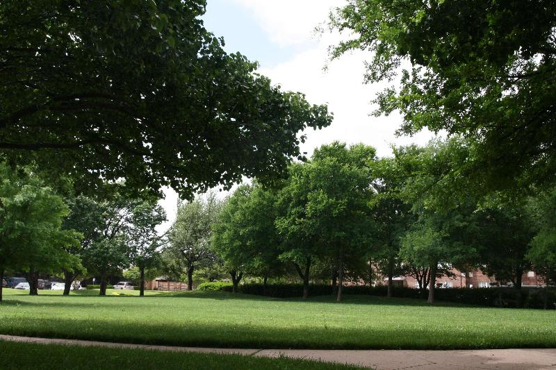 The Addison Hotel Surestay Collection By Best Western