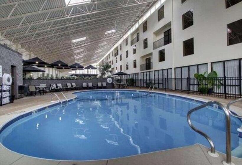 The Atrium Hotel On Third