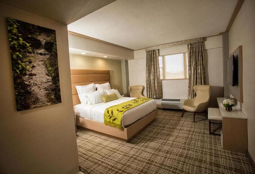 فندق The Fredonia