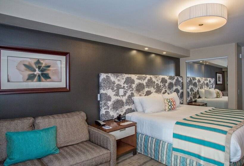 Отель The Kenilworth