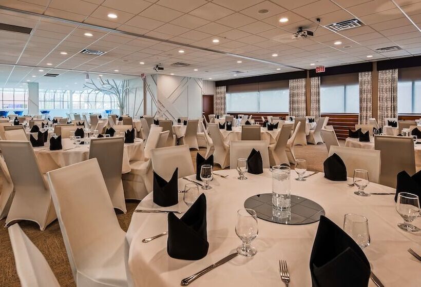 The Rushmore Hotel & Suites; Bw Premier Collection