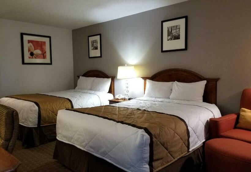 בית מלון כפרי University Inn