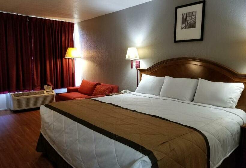 בית מלון כפרי University Inn