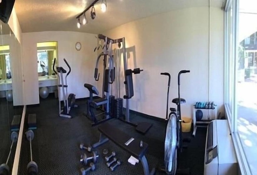 فندق Whitten Inn University