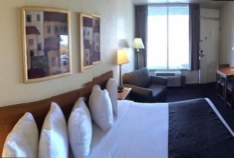 فندق Whitten Inn University