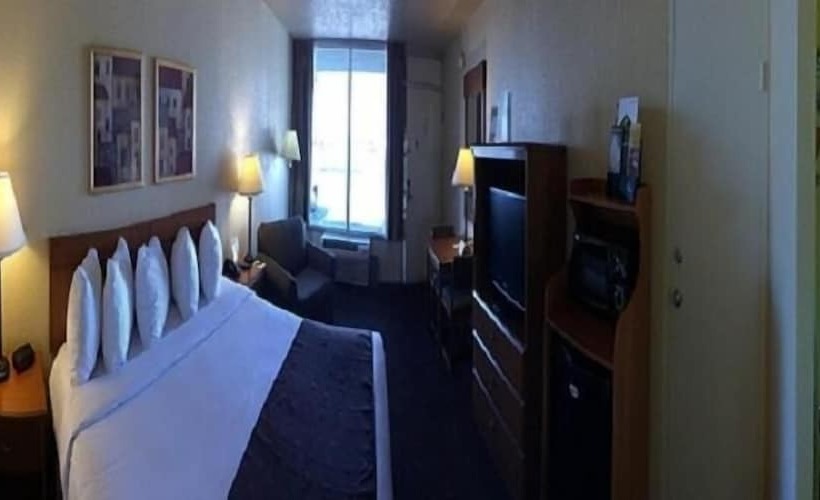 فندق Whitten Inn University