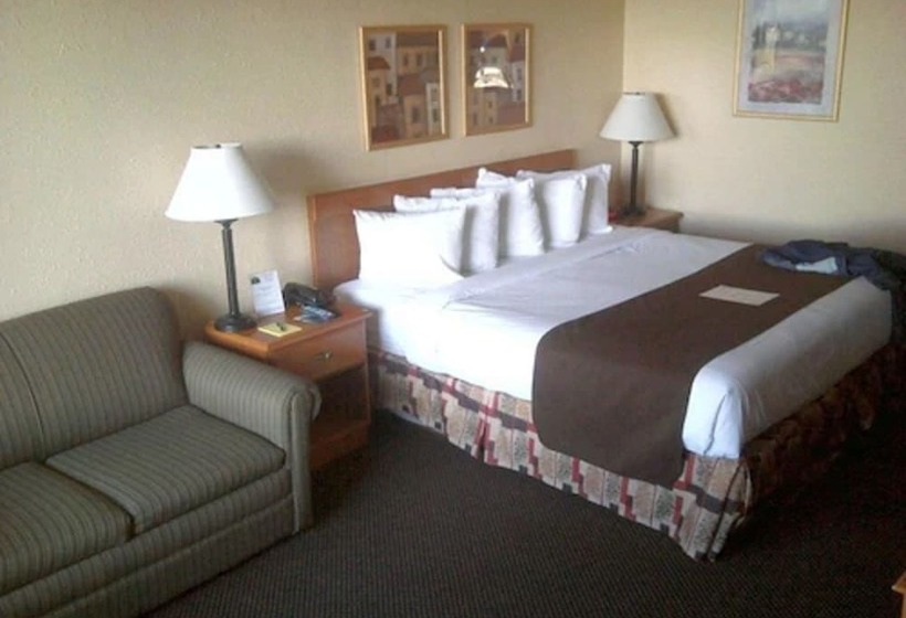 فندق Whitten Inn University