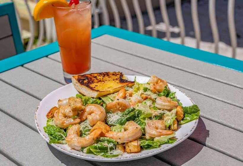 Winter The Dolphin S Beach Club, Ascend Hotel Collection