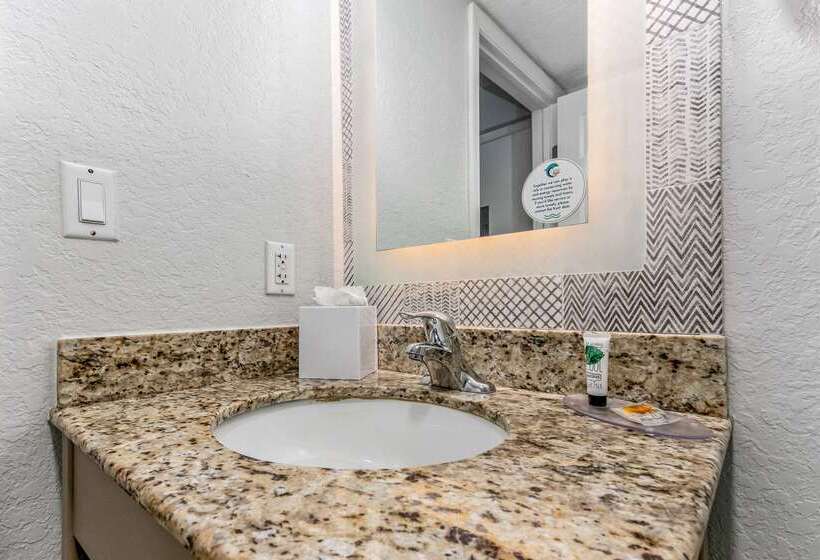 Winter The Dolphin S Beach Club, Ascend Hotel Collection