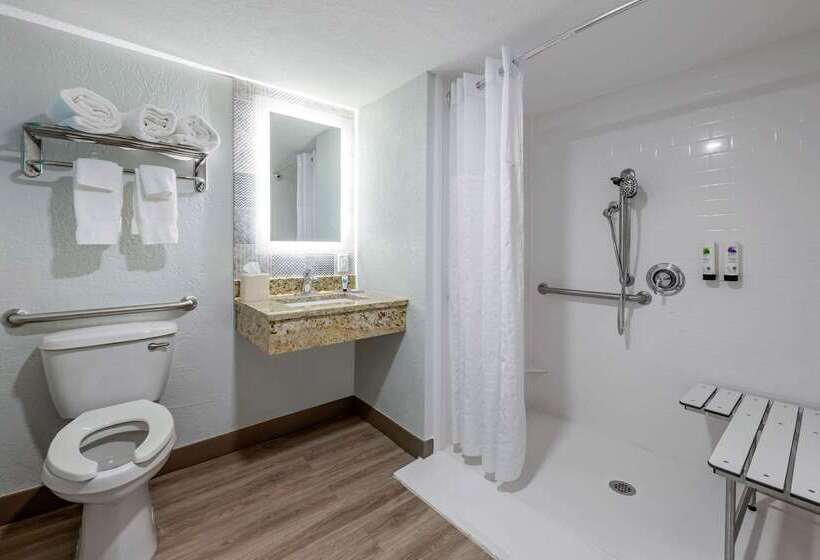 Winter The Dolphin S Beach Club, Ascend Hotel Collection