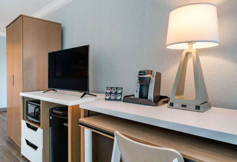 Winter The Dolphin S Beach Club, Ascend Hotel Collection