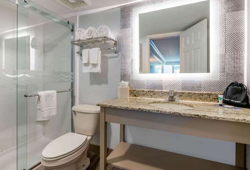 Winter The Dolphin S Beach Club, Ascend Hotel Collection