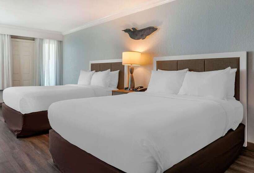 Winter The Dolphin S Beach Club, Ascend Hotel Collection