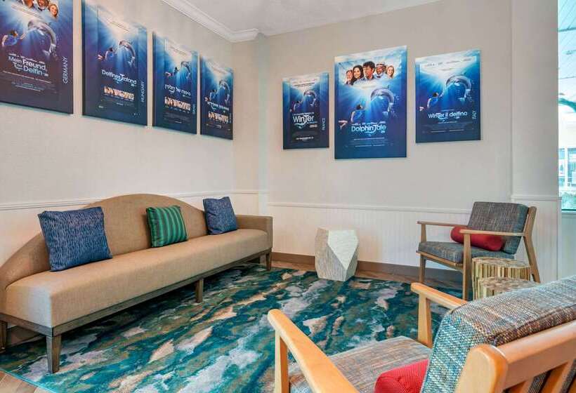 Winter The Dolphin S Beach Club, Ascend Hotel Collection