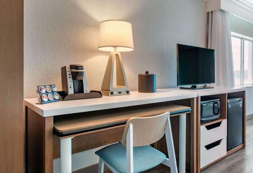 Winter The Dolphin S Beach Club, Ascend Hotel Collection