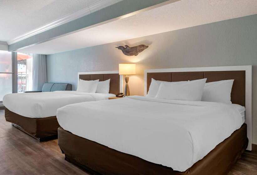 Winter The Dolphin S Beach Club, Ascend Hotel Collection