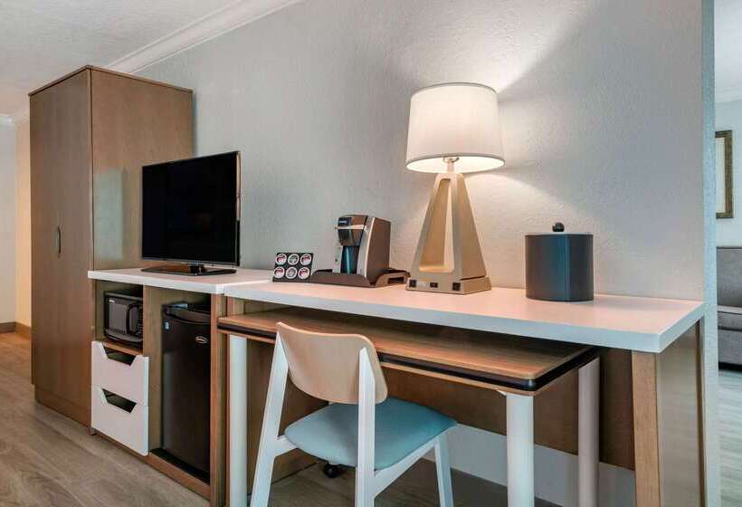 Winter The Dolphin S Beach Club, Ascend Hotel Collection