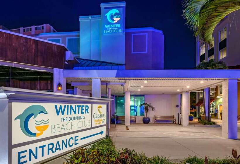 Winter The Dolphin S Beach Club, Ascend Hotel Collection