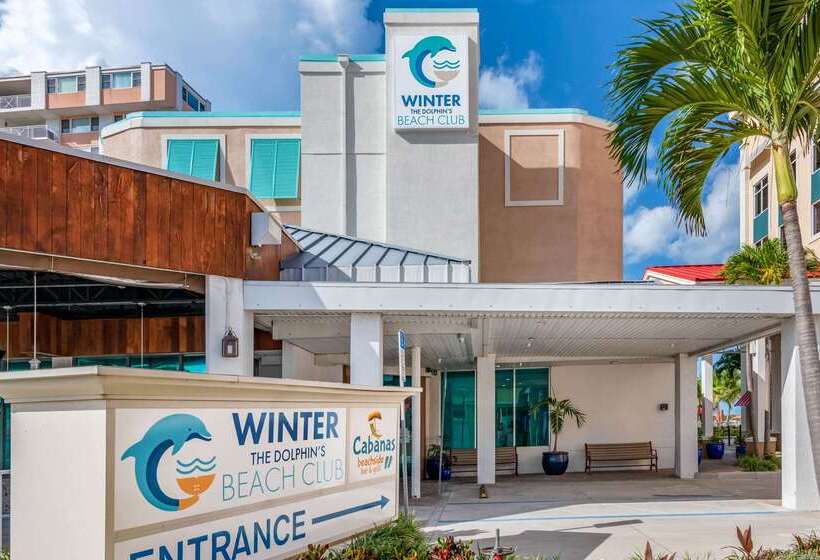 Winter The Dolphin S Beach Club, Ascend Hotel Collection