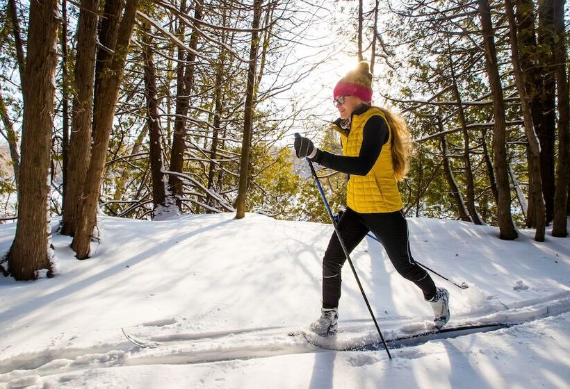 استراحتگاه Bluebird Cady Hill Lodge