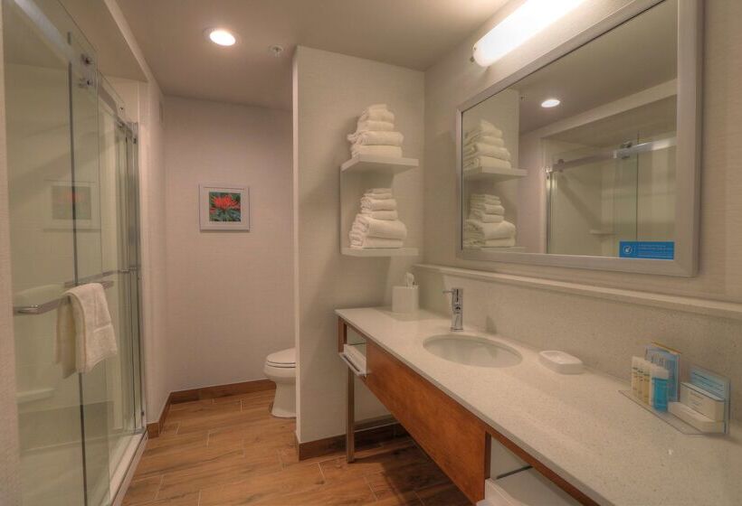 אתר נופש Hampton Inn Gatlinburg Historic Nature Trail