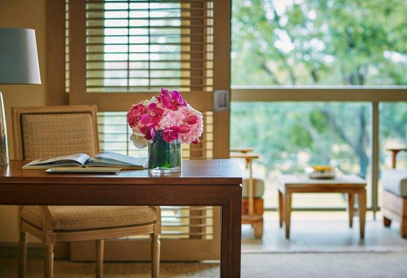 渡假胜地  The Ritz Carlton Dallas, Las Colinas