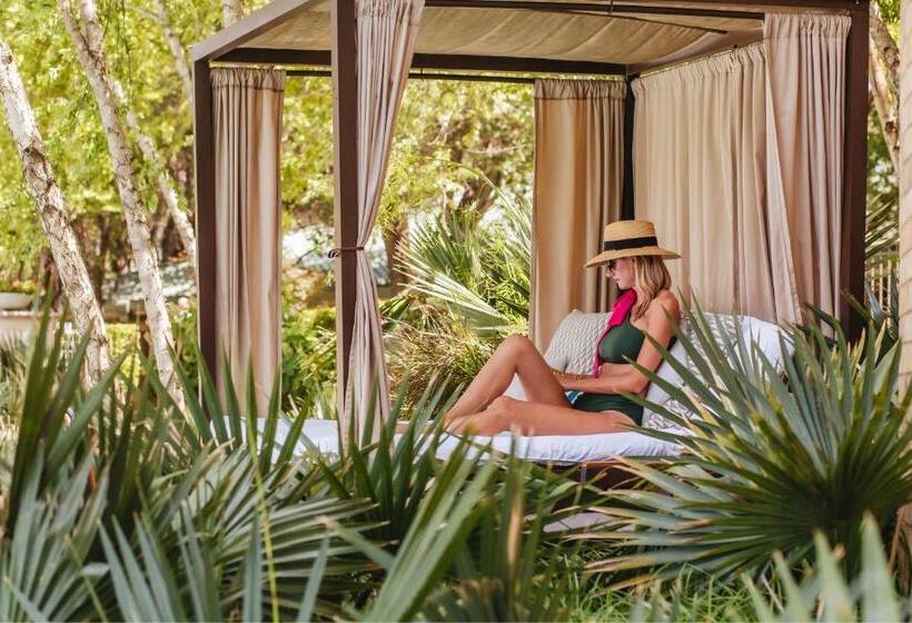 渡假胜地  The Ritz Carlton Dallas, Las Colinas