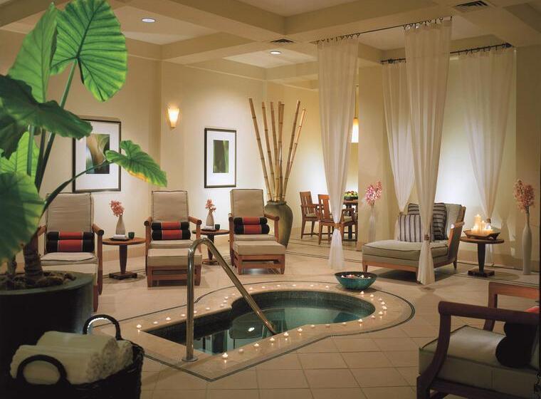 渡假胜地  The Ritz Carlton Dallas, Las Colinas