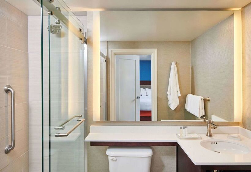 هتل Alex Johnson Rapid City Curio Collection By Hilton