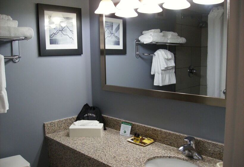 فندق Best Western Plus Bradford Inn