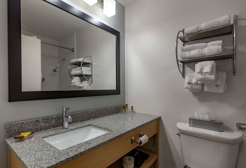 호텔 Best Western Plus University Inn