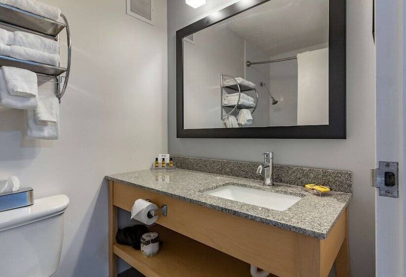 호텔 Best Western Plus University Inn