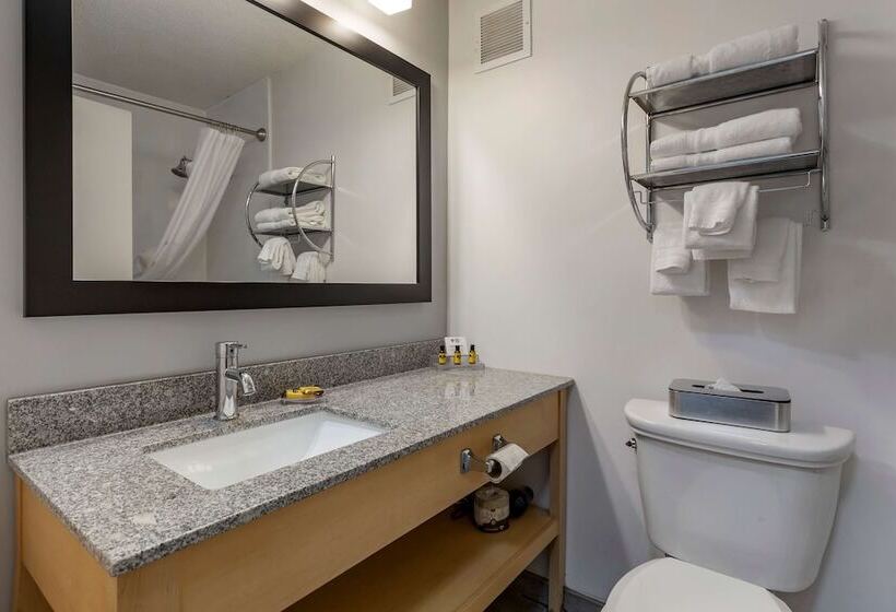 호텔 Best Western Plus University Inn