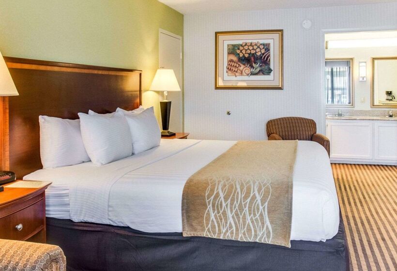 ホテル Clarion Inn