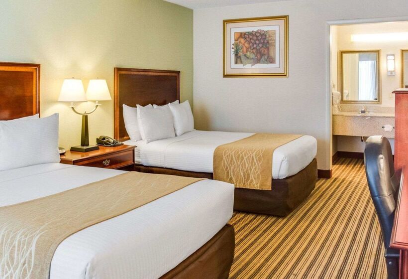 ホテル Clarion Inn