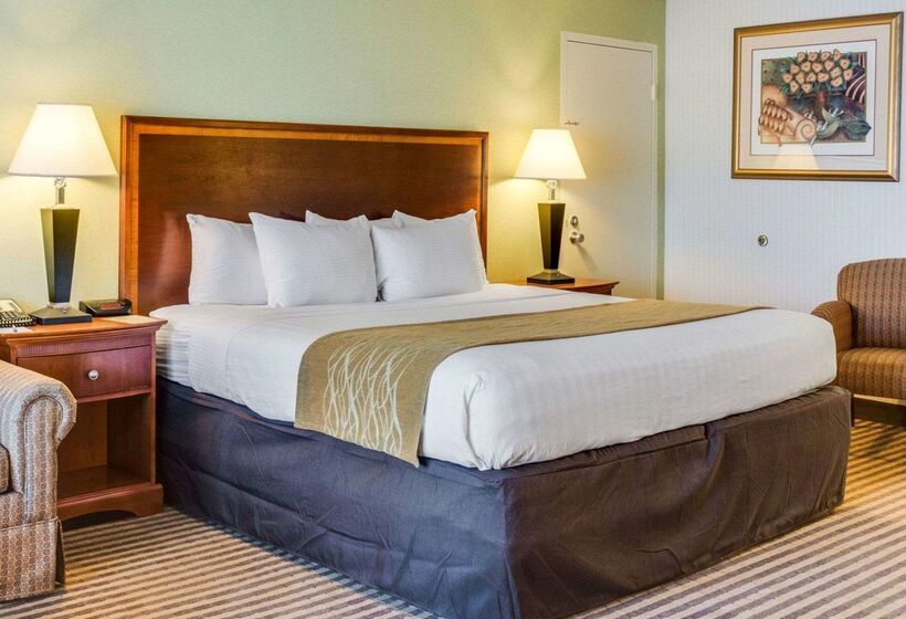 ホテル Clarion Inn