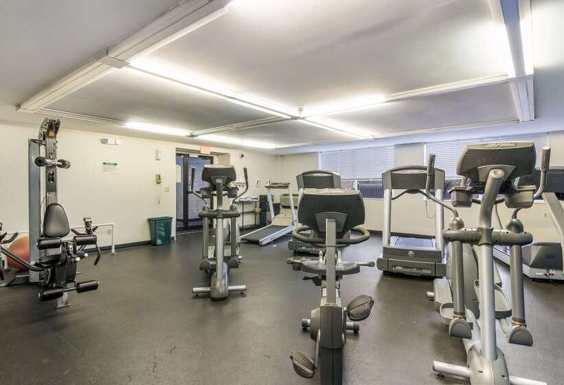 酒店 Comfort Inn & Suites