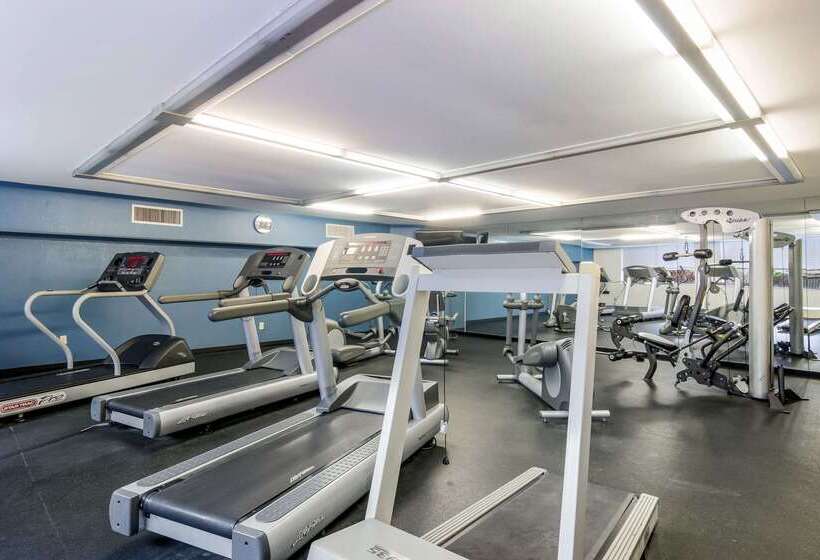 酒店 Comfort Inn & Suites