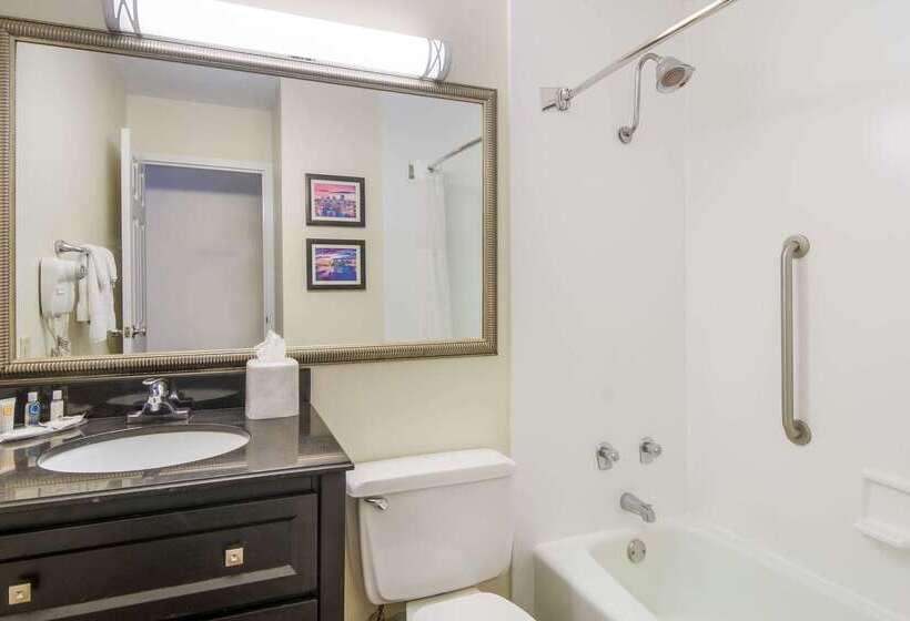 酒店 Comfort Inn & Suites