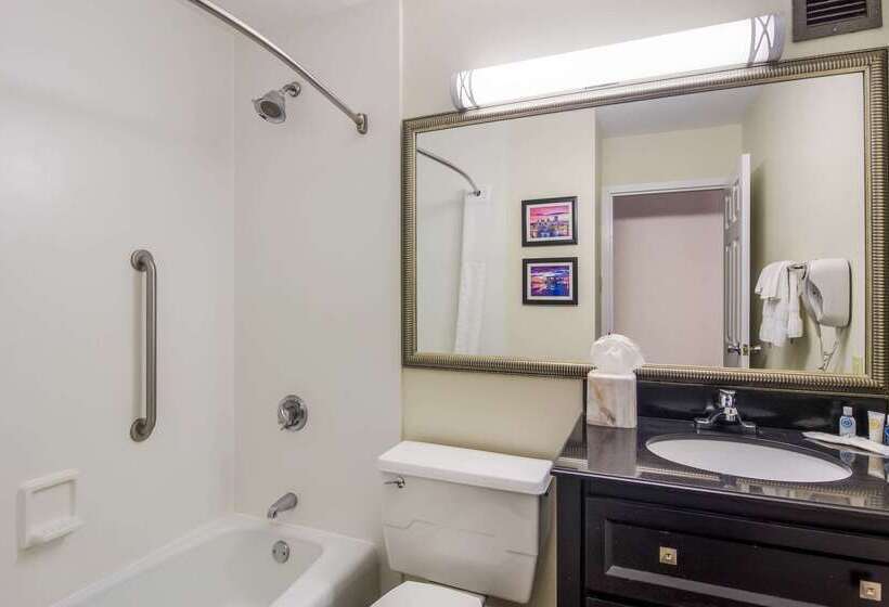 酒店 Comfort Inn & Suites