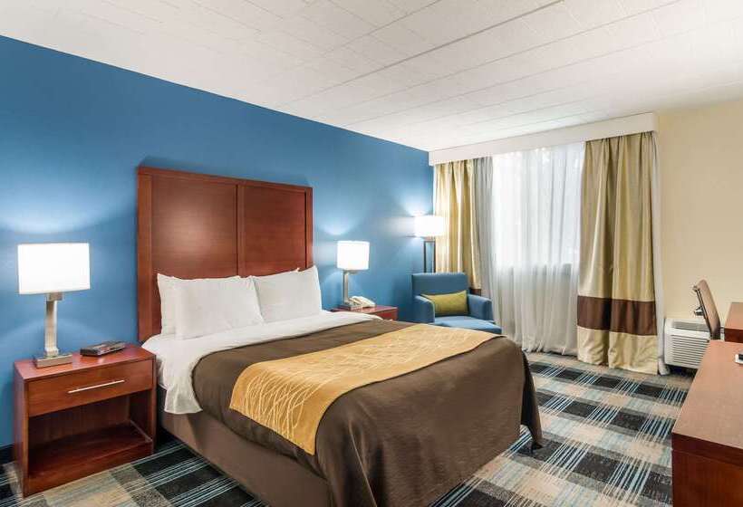 酒店 Comfort Inn & Suites