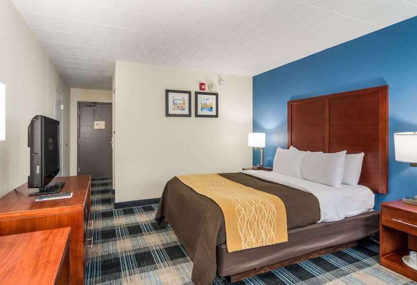 酒店 Comfort Inn & Suites